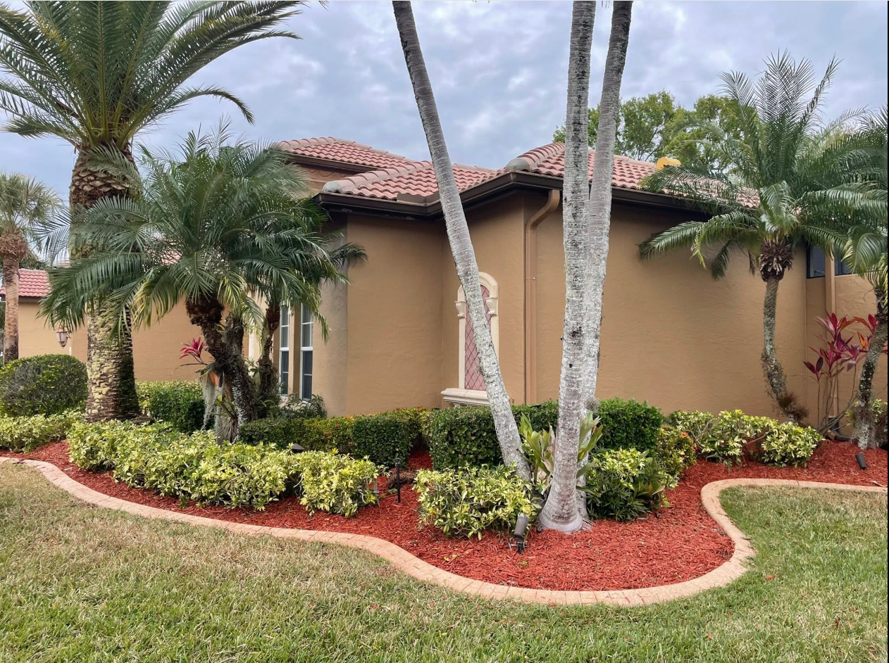 Landscape bed refresh with palms and red mulch