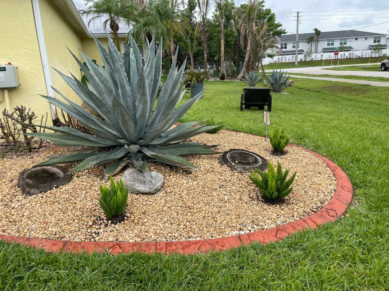 Decorative rock bed with agave